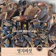 국산 영지버섯 절편 500g 영지버섯차 영지버섯 선물, 1개