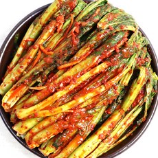 [모든반찬] 갓김치 5kg, 1개