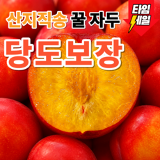 [시즌특가] 고당도선별 과즙폭발 제철자두 대석후무사, 1개, 1kg