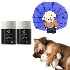 아리에스 강아지 수면제 진정제 스트레스 치매약 항산화제, 2개