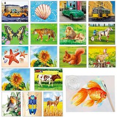 Fuutreo 노인용 치매 제품 50개 재사용 가능한 수채화 장난감 페인팅 브러시 1개 알츠하이머 활동 환자를 위한 물감 워터 게임 포함 164814, Fuutreo 노인을 위한 치매 제품 50개, 재사용