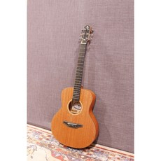 Naga S30 GSM/MNS 鄭晟河 Sungha Jung 全單板吉他, 1個