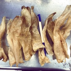 魚膠 黃花魚 花膠 300g, 1個, 半斤/300g