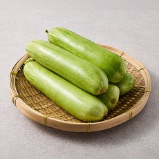 국내산 애호박, 5개, 100g