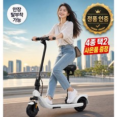 퀵클리 안장 탈부착 휴대용 접이식 전동 킥보드 (4종 택2 사은품 증정), 블랙, 1개, E2 PRO 안장 탈부착 가능