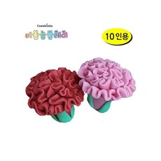 MB6 카네이션 만들기 10인용 비누만들기키트