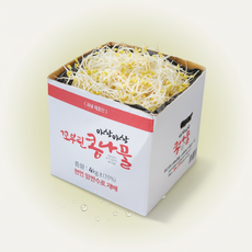 국내산 아삭아삭 천연암반수 콩나물 특품, 1개, 3kg