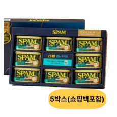 CJ선물세트 스팸 라이트 12호 5개(쇼핑백 포함), 200g