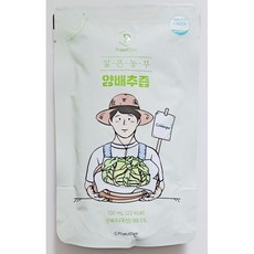 푸릇담 젊은농부 양배추즙, 100ml, 5개