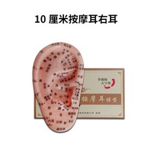 包郵!針灸按摩耳朵穴位經絡模型超清晰中醫耳朵針灸模型按摩教學練習模人體模型 教学 模型 穴位 關節骨架 模具, 1個, 10厘米右耳