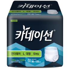 카네이션 언더웨어 L(대형)10개입 요실금팬티 성인기저귀, 대형, 10개입, 2개