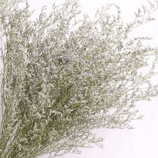 風乾情人草花束 ins風客廳輕奢裝飾 DIY花材擺件, 大束65CM高, 1個