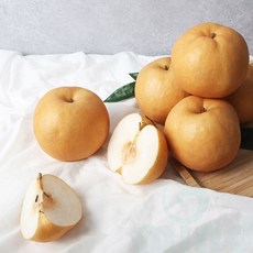 굿마인드 나주 배 선물세트 7.5KG (13-14과) 고당도배 추석선물세트과일, 1개