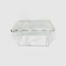 虫憶甲蟲飼養盒滑蓋盒，破損包賠，昆蟲甲蟲飼育箱，成蟲幼蟲獨角仙鍬形蟲大兜蟲, 1個, 透明