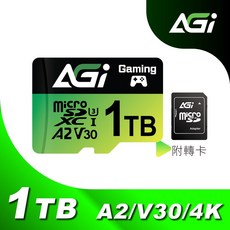 AGI亞奇雷 TF138 1TB MicroSDXC UHS-1 U3 V30 A2 記憶卡(讀寫170/160MBs), 1個