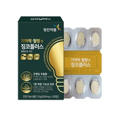 영진약품 기억력 혈행엔 징코플러스 부종개선 인지력개선, 1개, 30정