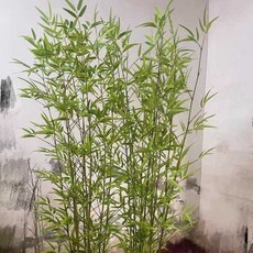풍성한 인조대나무 조화 화분 대형 가짜나무, 1개, 1.6미터10개(화분없음)