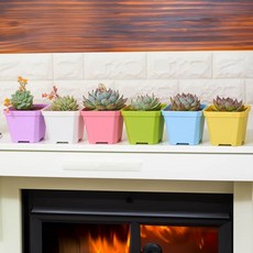 미니 사각 화분 분갈이 조경 소품 선물 인테리어 집들이, 소 - 핑크