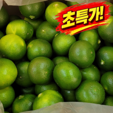 [초초특가] 산지직송 청귤청용 제주 청귤, 1박스, 2kg