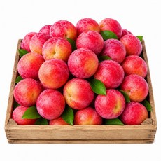 [선별특품] 국내산 고당도 노지 자두 산지직송 디아머스, 1개, 5kg (대과)