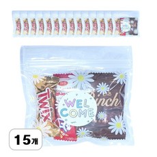 미니 데이지 간식 꾸러미 소포장 과자 선물 세트 개별포장 간식세트, 1세트, F세트 : 웰컴 간식꾸러미