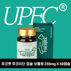 후코펫 후코이단 캡슐 보틀형 60캡슐 100% 후코이단 15000mg, 1개, 면역/항산화, 60정