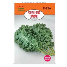 SkyStar®羽衣甘藍種子，家庭園藝蔬菜種子，輕鬆種植，健康美味, 1個