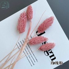 大好屋 加納利永生花乾燥花束，居家裝飾花材，DIY手作花藝設計, 加納利【玫瑰粉】大束45-50支裝