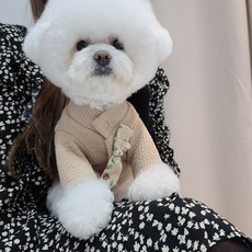 글루 생활한복 저고리, 1개