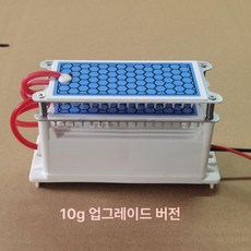 차량용 오존 발생기 담배 냄새제거 탈취기 곰팡이 제거기, 220v 10g 레벨 1 버전, 기본 모델명/품번