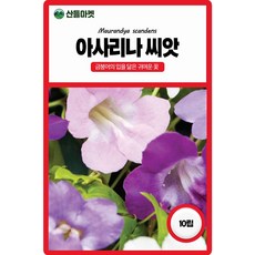 산들마켓 아사리나 꽃씨앗 10립 금어초라고 불리는 넝쿨성 일년생 꽃씨 종자, 5개