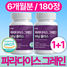 코어탭 파라다이스 그레인 버닝 플러스, 2개, 90정