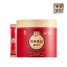 개성상인 하루홍삼플러스 100포 x 1통(총 100포)/쇼핑백 포함, 10ml, 100개