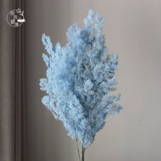 無名精選 乾燥花束 蓬萊松, 大把 蓬萊松/藍色/80克