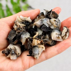 바다받아 국내산 우렁이 논고동 논우렁살 우렁쌈밥, 1개, 우렁살700g+수분300g (오차 5%)