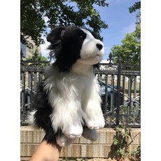 보더콜리 인형 강아지 애착인형 동물, 단일 항목, 1개, 기본 색상