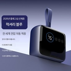 소형 접이식 의류건조기 휴대용 여행용 원룸 가정용 미니 빨래 건조기 속옷 양말 수건 건조 기능, 경량 럭셔리 블루-2026 신제품, 단일 모델