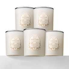 [본사공식몰] 피에브 에어워셔 고체 탈취제 냄새 제거 무향, 250g, 5개