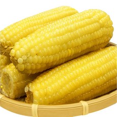 진생마트 쫀득쫀득 찰옥수수 벌크 백찰, 250g 내외, 20개