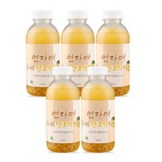 연자매 수제 단호박식혜 무라벨 전통식혜맛 그대로, 500ml, 5개