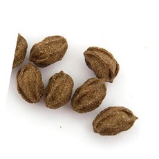 캣닢볼 허브 스트레스완화 식물