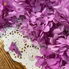 VITO zakka 木繡球永生花DIY乾燥花植物浮游花材花藝材料包拍攝道具DIY創作花材20g, 紫紅(現貨)