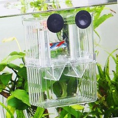 수족관 치어 보호 투명 아크릴 이중 격리함 산란 부화 관찰 사육 케이스 대용량, 1개