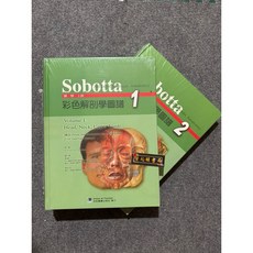 Sobotta彩色解剖學圖譜(上／下) 合記圖書