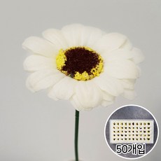 이플린 비누꽃 재료 비누 장미 꽃다발 꽃바구니 DIY, 07.데이지-50개입_일반_화이트