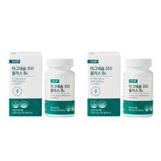 마그네슘 350 플러스B6 글루콘산마그네슘 약국정품, 90정