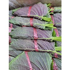 곡성 접은 깻잎 2kg (100매 1 000장 ~ 1 200장), 1개