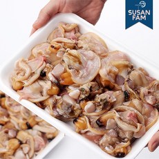 산지직송 국산 당일조업 손질 생물 개조개살 개조개 내자패 300g, 1개