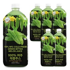 파모빗 저온 착즙 여주즙 진액 100 1000ml, 1개, 1L