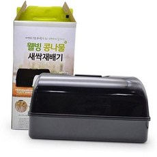 새싹 채소 재배기 스마트 친환경 콩나물 가정용 재배기 텃밭 수경재배기 키우기 식물